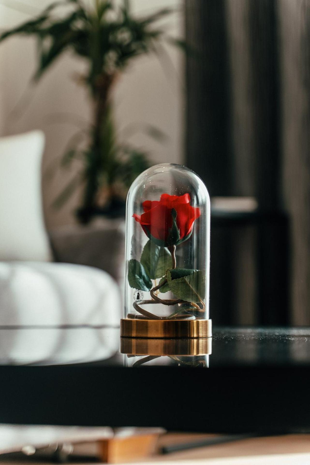 Biarritz Luxury Apartments Βελιγράδι Εξωτερικό φωτογραφία